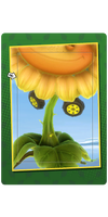 Sun Wheels Card.png