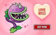 Valentine's advertisement