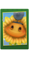 Dr. Sunny Card.png