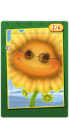 Flower Child Accessory Card.png
