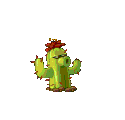 Cactus's animations