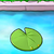 LilyPad1.png