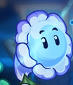 Bubble Flower on the official website