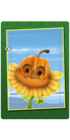 Pumpkin Surprise Card.png