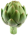 Real Life Artichoke.png