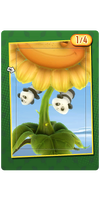 Panda Organics Card.png