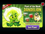 Dandelion featured as Plant of the Week (Get Plant)