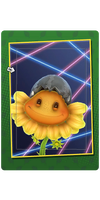Silver Watermelon Card.png
