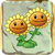 Twin Sunflower2.png
