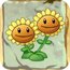 Twin Sunflower2.png