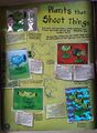 Plants that Shoot Things