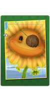 Coconut Patch Card.png