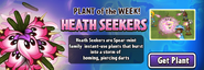 Heath Seeker being featured as Plant of the Week in the main menu