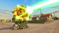 Sunflower using Solar Flare Beam