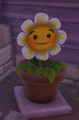 Potted Heal Flower in-game, which resembles a Marigold better than the Sunflower's Heal Flower