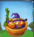 Pumpkin Witch inside a Flower Pot