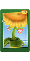 Tiki Queen Organics Card.png