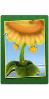 Yellow Buds Card.png