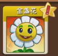 Marigold quest Icon