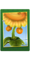 Pumpkin Hands Card.png