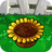 Sun Flower PotOE.png