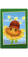 Sundrop Head Card.png
