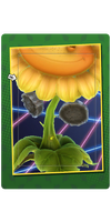 Silver Melons Card.png