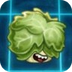 Headbutter Lettuce
