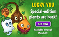 Advertisement featuring that the limited-time plants are back