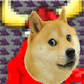 redidy doge