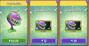 Chomper with his seeds in the store (Promoted, 9.7.1)