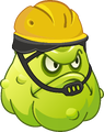 Squash (construction worker helmet)