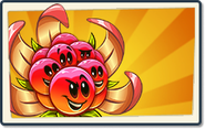 BoomBerry's Boosted seed packet