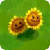 Twin SunflowerA.png