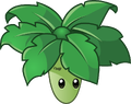 It's Umbrella leaf with a sweet tattoo on its forehead!