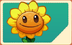 Sunflower PvZ3 seed packet (Rev 2).png