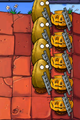 Ladders on Tall-nuts and Pumpkins