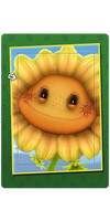 Sunswirls Card.png