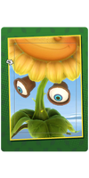 Potted Eyes Card.png