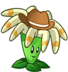 Bloomerang (cowboy hat)