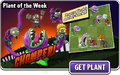 The Plant of the Week advertisement for Chomper featuring Greaser Imp