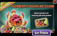 BoomBerry in an advertisement