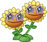 Twin Sunflower (star shades)
