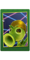Gold Coconut Hat Card.png