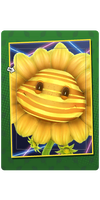 Gold Slices Card.png