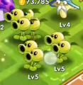 Two sets of Twopeaters fusing into Acidic Citruses