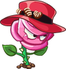 Rose Swordfighter (red hat with chocolates)