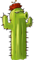 HD elongated Cactus