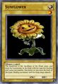 Sunflower's Hero Card