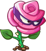 Rose Swordfighter (purple bandit mask)